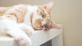 20120504